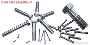 供應(yīng):316L 外六角螺栓,華人螺絲網(wǎng)提供各種供應(yīng):316L 外六角螺栓報(bào)價(jià)、價(jià)格、生產(chǎn)廠家、供應(yīng)商-興化齊力得五金制品